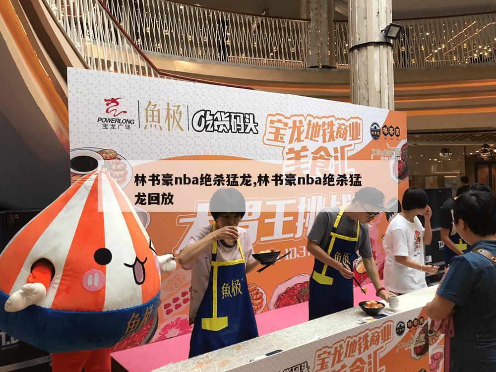 林书豪nba绝杀猛龙,林书豪nba绝杀猛龙回放