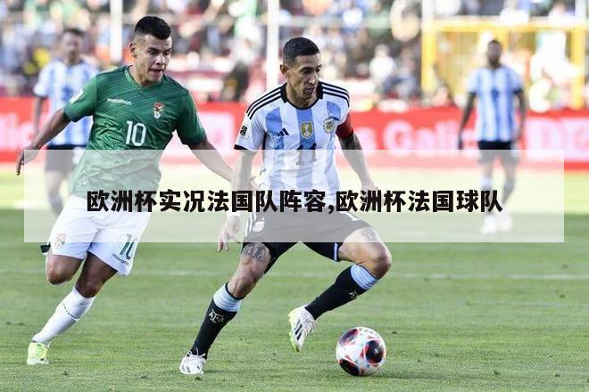 欧洲杯实况法国队阵容,欧洲杯法国球队