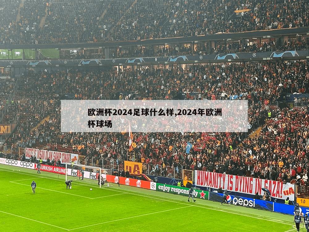 欧洲杯2024足球什么样,2024年欧洲杯球场