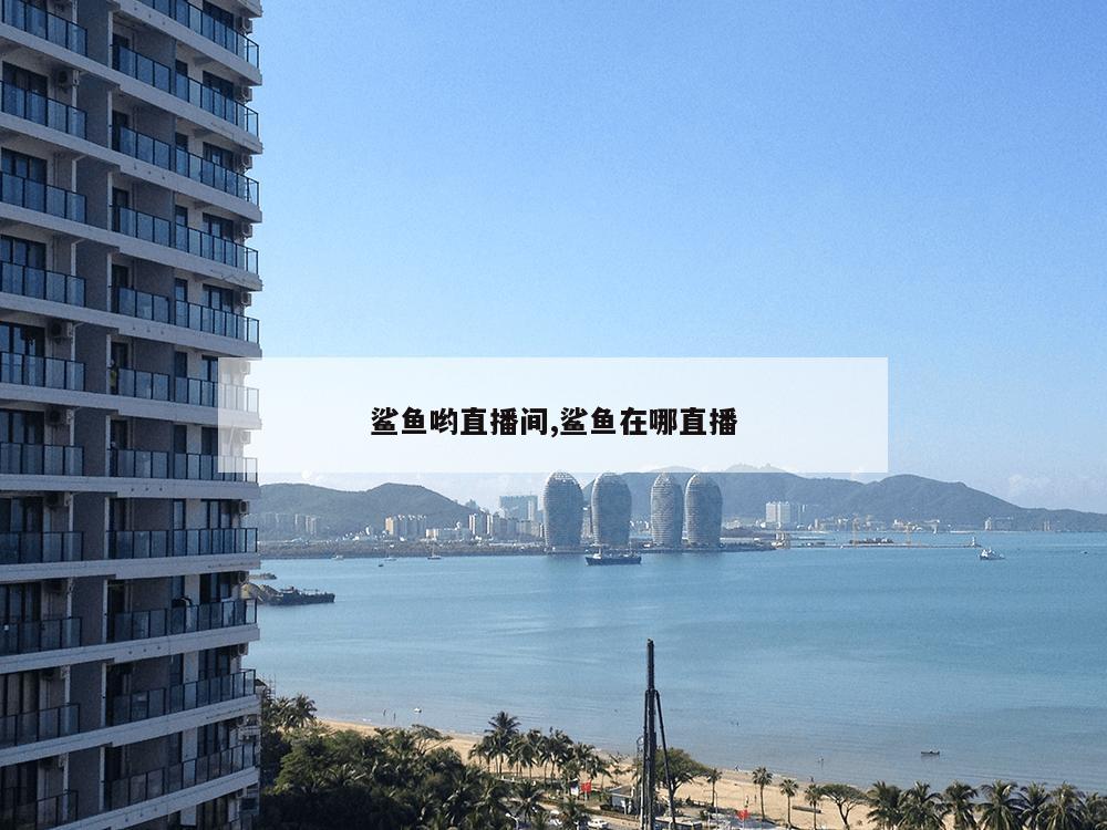 鲨鱼哟直播间,鲨鱼在哪直播