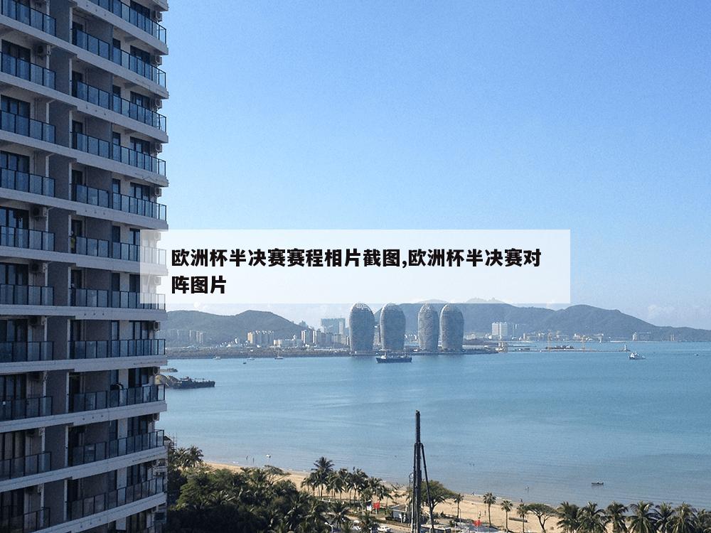 欧洲杯半决赛赛程相片截图,欧洲杯半决赛对阵图片