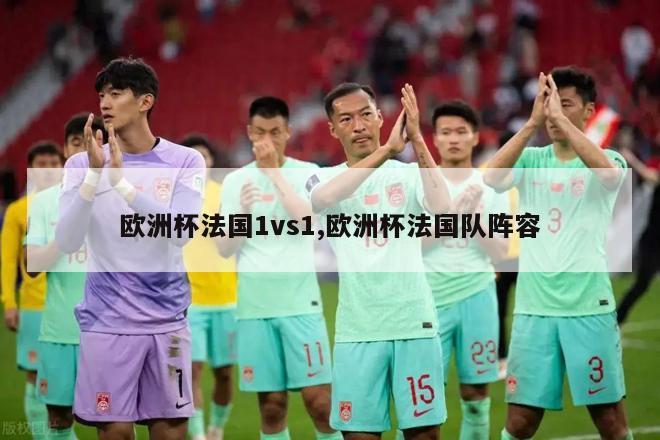 欧洲杯法国1vs1,欧洲杯法国队阵容