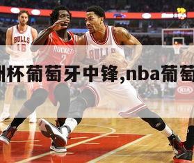 16欧洲杯葡萄牙中锋,nba葡萄牙216中锋