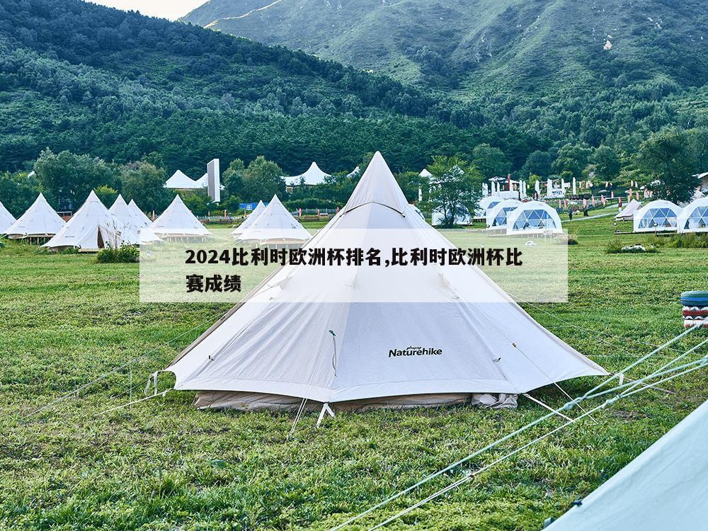 2024比利时欧洲杯排名,比利时欧洲杯比赛成绩