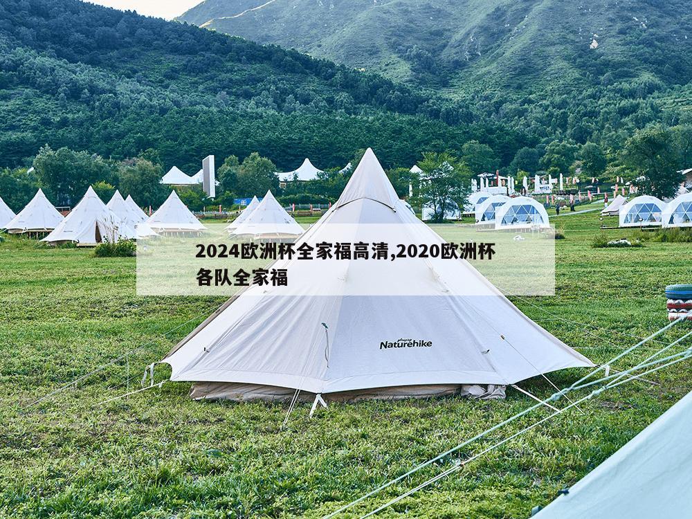 2024欧洲杯全家福高清,2020欧洲杯各队全家福