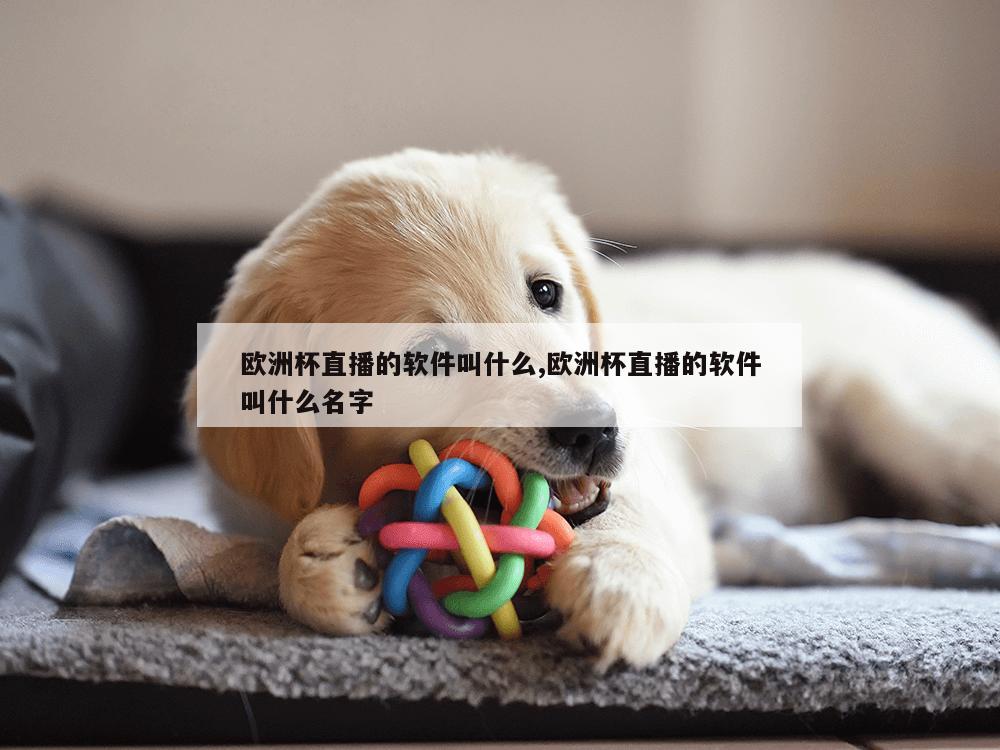 欧洲杯直播的软件叫什么,欧洲杯直播的软件叫什么名字