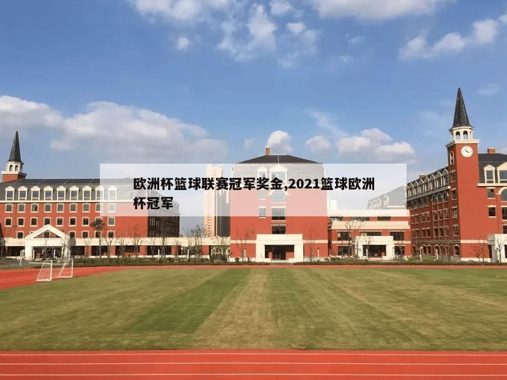 欧洲杯篮球联赛冠军奖金,2021篮球欧洲杯冠军