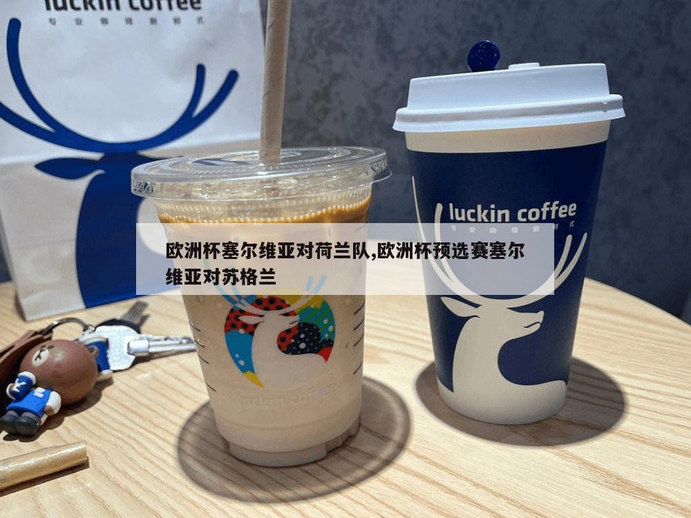 欧洲杯塞尔维亚对荷兰队,欧洲杯预选赛塞尔维亚对苏格兰